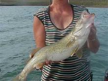 Shelley Ryan of Jordan, MT with a 9.5# walleye caught pre-fishing for the Hell Creek Women's Tournament.