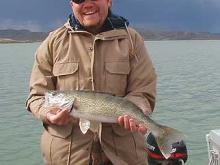 Ben Olmstead of Helena, MT with a 5 pound walleye.