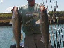 Bernie with a 8.8 and a 9.6 pound walleye also caught the same day was a 11.1 pounder.