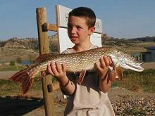 Gentry Reder of Miles City, MT with a 6 pound northern pike.