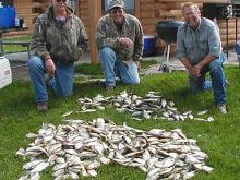 Bruce Kellogg and Roger Morhing from New Hampton,IA and Arnold Dood of Bozeman, MT with 260 crappie and bluegills caught the evening of May 16th (front pile) and 107 crappie and bluegills caught the morning of May 17th (top pile).