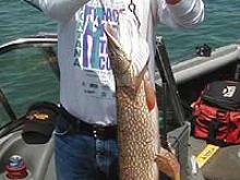 Don Childress of Helena, MT with a 10 pound Northern Pike.
