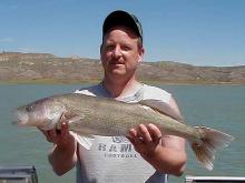 Rob Marshall of Helena, MT with a Walleye so close to 10 that we will let him call it a 10 pounder..