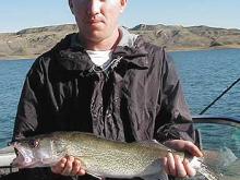 Chris Morford of Miles City, MT with a 5 pound walleye.