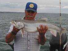 Jerry Hensleigh of Jordan, MT with a, 11 pound lake trout.