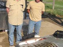 Dave Hagenbarth and Mike Brumbaugh of Dillon, MT with a nice limit of walleyes.
