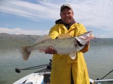 Mike Chenoweth of Cody, WY with a 28.5 inch, 10 pound walleye.