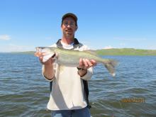 Joe Weigant of Helena, MT with a 24 5.5 pound walleye.