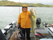 Roene Kruckenberg of Cheyenne, WY with a 27.75, 8.3 pound walleye.
