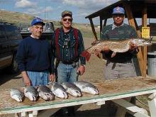 Neil Martin of Miles City, MT and John and Steve Gilpatrick of Hilger, MT with a 5, 10, 11, 12, 13, and 14# lake trout and a 20# northern pike.