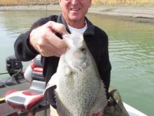 Bill Courtright of LaGrange, IL with a 1.75 pound, 14.5 crappie.