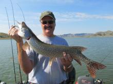 Ray Capp of Billings, MT with a 30 northern pike.