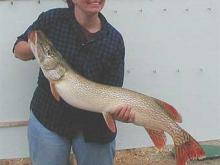 Lynette Snieder, of Grandville, MI, caught this dandy 41-inch, 20-pound northern pike.