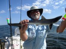 A. Dood of Bozeman, MT with a very small Blacktip shark.