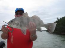 Myself with a black drum.