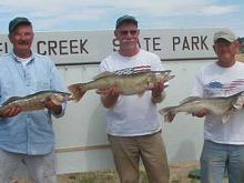 Left to right Bob White with a 7 pound, Ross Leake with a 12 pound and Joel Peterson with a 9 pound walleye.