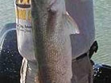 Bernie Hildebrand with the big walleye of the first day of the Hell Creek Walleye Tournament, 31.5