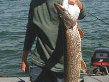Jarred Reddish with a 8 pound northern pike.