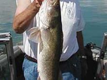 Neil Martin of Miles City with a 31 inch, 12 pound walleye.
