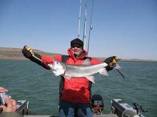 Marcus Grinstaff, of Billings, caught an 11.5-pound lake trout.