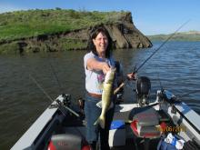 Jackilee Leap of Lewistown, MT with a 18 walleye.