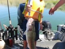 Simon Harbaugh of Jordan, MT with a 23.5 walleye which tied for big fish.