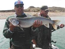 Steve and John Gilpatrickof Hilger, MT with a 14# lake trout.
