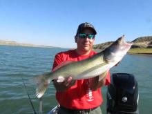 Doug Colombik of Miles City, Mt with a 21 walleye.