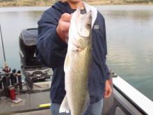 Jonathan Martin of Williston, ND with a 23 walleye.