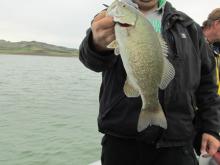 Chris Justice of Culbertson, MT with a 3 pound smallmouth bass.