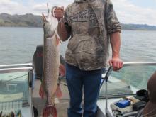 Denver Hensleigh of Miles City, MT with a 8 pound northern pike.