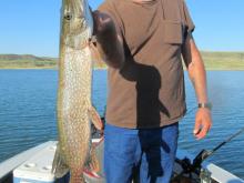 Bill Kramme with 33 northern pike.