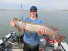 Pam Capp of Billings, MT with a 33 northern pike.