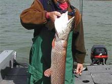 Don Childress of Helena, MT holding a 12# northern pike.
