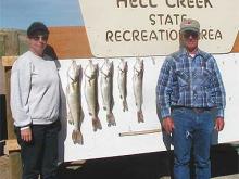 Tom and Shelley Ryan of Jordan, MT with 2, 4.5, 5.5, and 8# walleye and a 4# sauger.