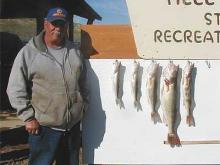 Jerry Hensleigh of Jordan, MT with a 1, 1, 3, and 7.5# walleye and a 3# sauger.
