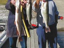 Steve Knapp with a five-pound northern and a four-pound walleye and Gary
Hammond with a seven-pound walleye caught in the Bone Trail area.